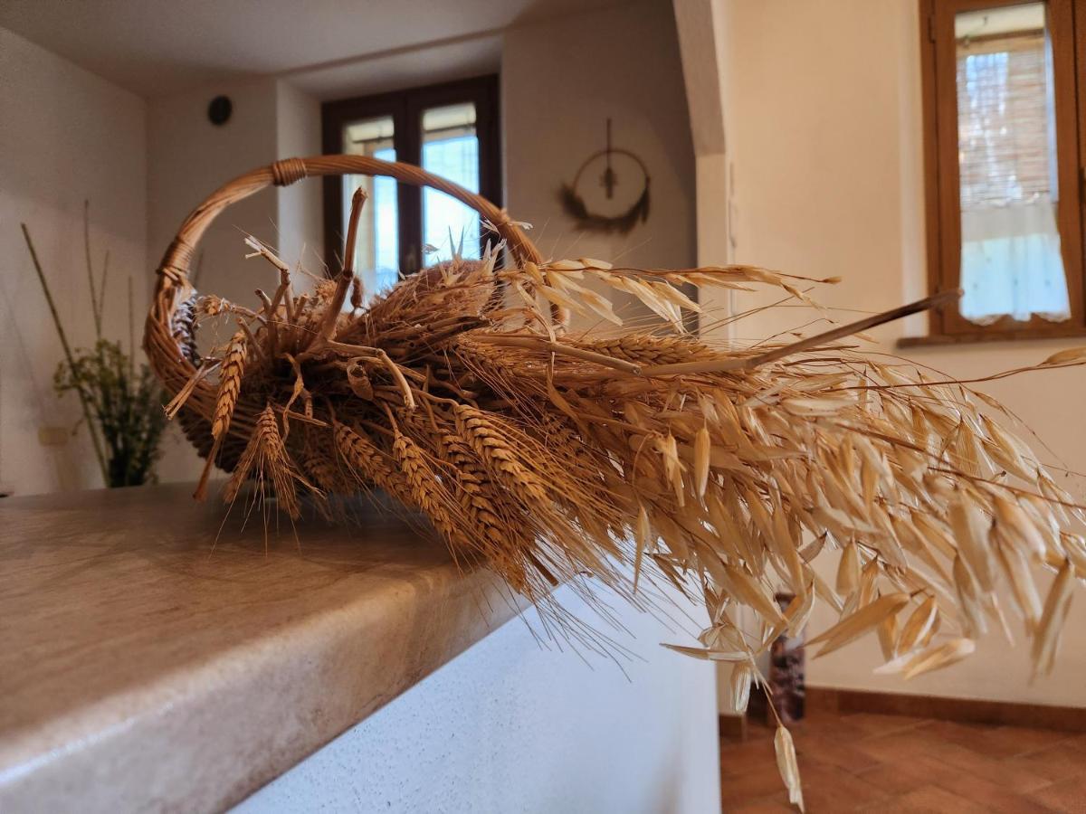 Agriturismo Le Crete - Appartamenti Asciano Exterior foto