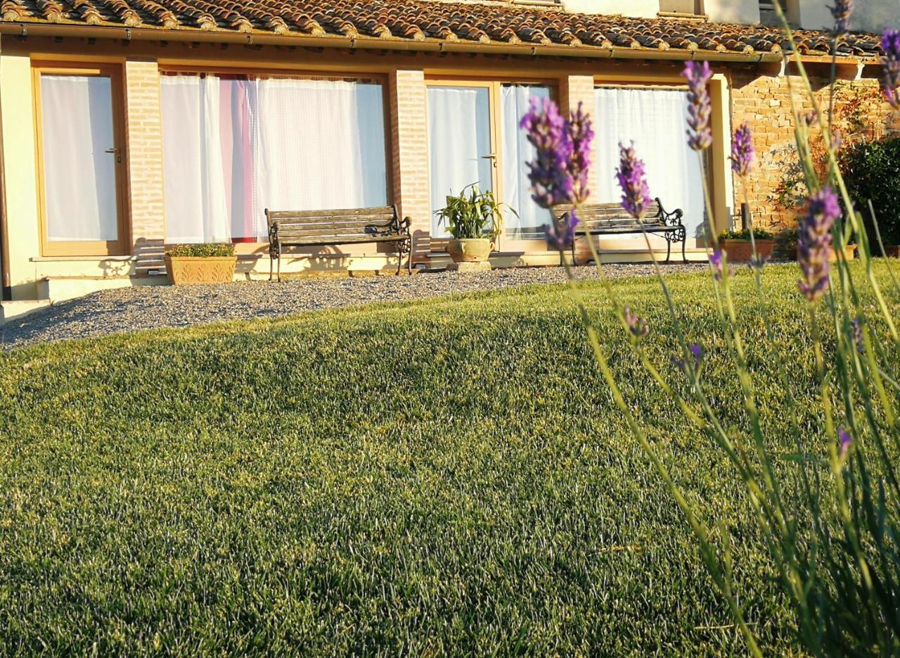 Agriturismo Le Crete - Appartamenti Asciano Exterior foto